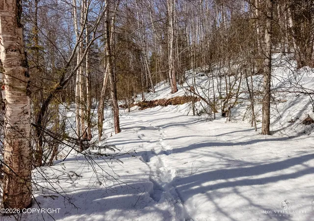 Photo 4 of Land for sale at L8 B2 Parks Ests, Big Lake, AK 99652 | MLS# 26-3605 | Listing updated on 2026-05-04