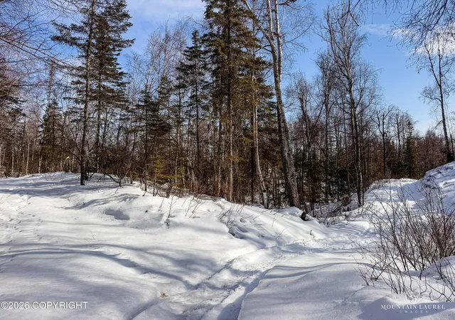 Photo 5 of Land for sale at L8 B2 Parks Ests, Big Lake, AK 99652 | MLS# 26-3605 | Listing updated on 2026-05-04