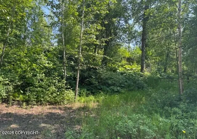 Photo 3 of Land for sale at 39578 S Malaspina Loop, Talkeetna, AK 99676 | MLS# 26-3400 | Listing updated on 2026-04-13