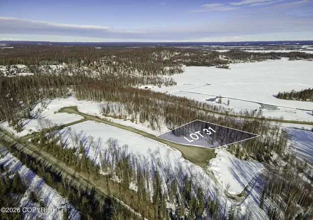 Photo 2 of Land for sale at 20161 W Kvichak Cir, Big Lake, AK 99652 | MLS# 26-3798 | Listing updated on 2026-08-18