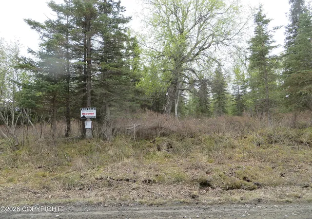 Homes for sale in Kasilof, AK | L2 Tolum Rd, Kasilof, AK 99610 | MLS# 26-3552