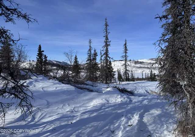 Homes for sale in Talkeetna, AK | Asls 86-223, Talkeetna, AK 99676 | MLS# 26-3622