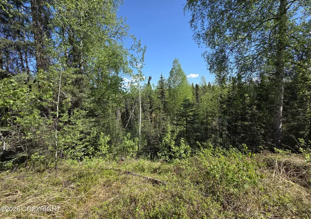 Homes for sale in Talkeetna, AK | 16457 E Sunshine Dr, Talkeetna, AK 99676 | MLS# 26-5977