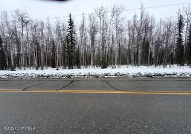 Homes for sale in Willow, AK | 24986 Long Lake Rd, Willow, AK 99688 | MLS# 26-3723