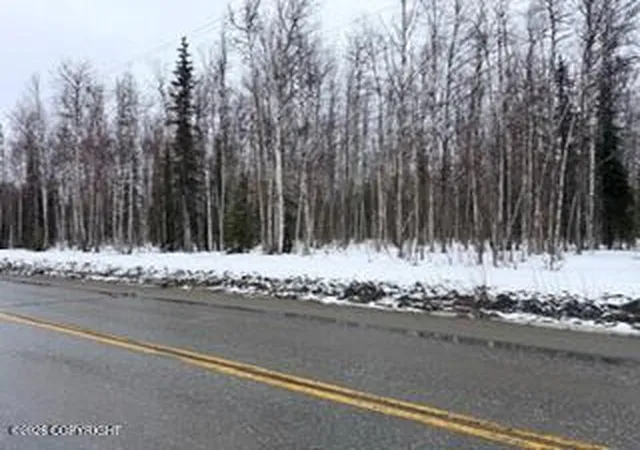 Homes for sale in Willow, AK | 24986 Long Lake Rd, Willow, AK 99688 | MLS# 26-3723