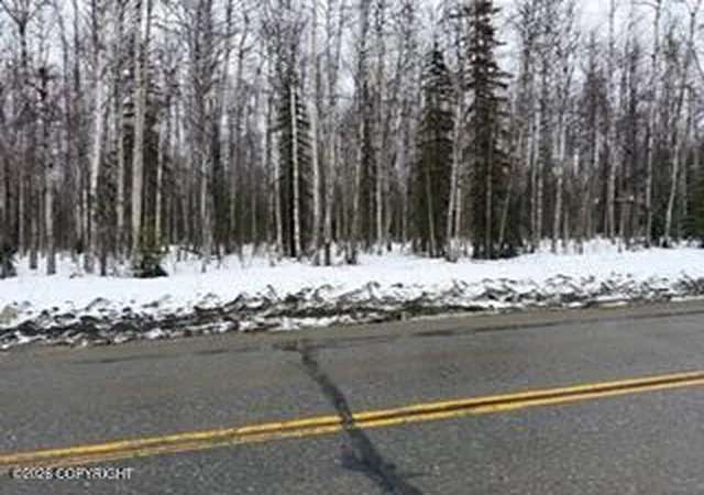Homes for sale in Willow, AK | 25010 Long Lake Rd, Willow, AK 99688 | MLS# 26-3724