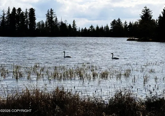 Photo 17 of Land for sale at L6 Sun Step Cir, Homer, AK 99603 | MLS# 26-4335 | Listing updated on 2026-05-29
