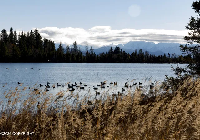 Photo 4 of Land for sale at L6 Sun Step Cir, Homer, AK 99603 | MLS# 26-4335 | Listing updated on 2026-05-29