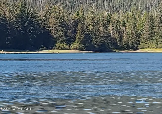 1st image of Lot 12 Wrangell Narrows, Petersburg, AK 99833 | MLS# 26-3869
