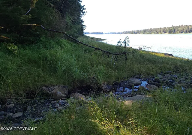 3rd image of Lot 12 Wrangell Narrows, Petersburg, AK 99833 | MLS# 26-3869