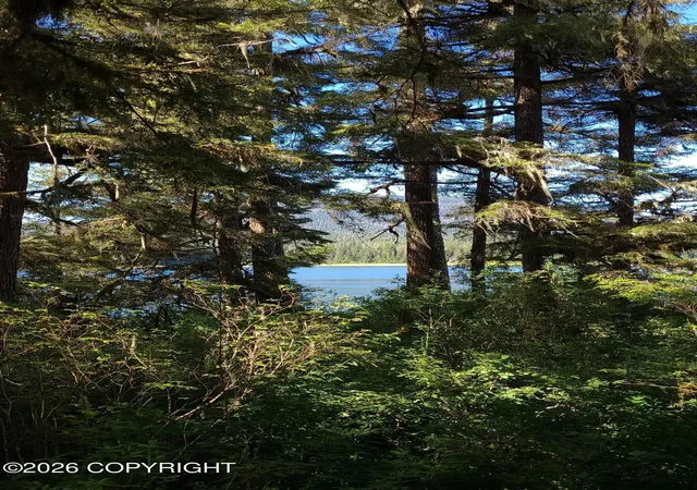 9th image of Lot 12 Wrangell Narrows, Petersburg, AK 99833 | MLS# 26-3869