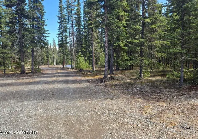 29th image of 2h Midnight Sun Dr, Tok, AK 99780 | MLS# 26-4044