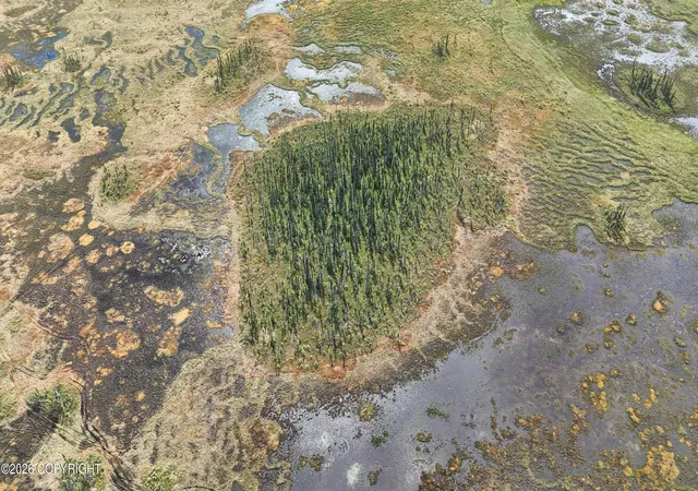 Photo 29 of Land for sale at B004 No Rd Near Sheep Crk, Willow, AK 99688 | MLS# 26-8908 | Listing updated on 2026-09-01