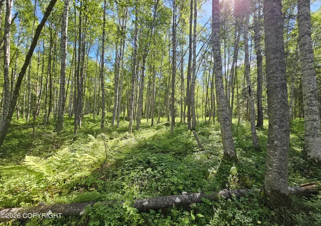 Photo 5 of Land for sale at B004 No Rd Near Sheep Crk, Willow, AK 99688 | MLS# 26-8908 | Listing updated on 2026-09-01