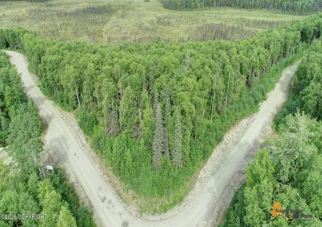 Photo 2 of Land for sale at L2 W Tuxedo Ave, Willow, AK 99688 | MLS# 26-10403 | Listing updated on 2026-08-30