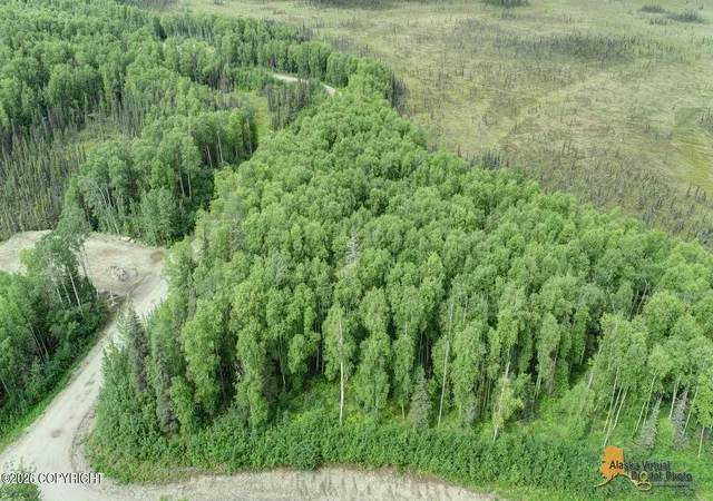 Photo 4 of Land for sale at L2 W Tuxedo Ave, Willow, AK 99688 | MLS# 26-10403 | Listing updated on 2026-08-30