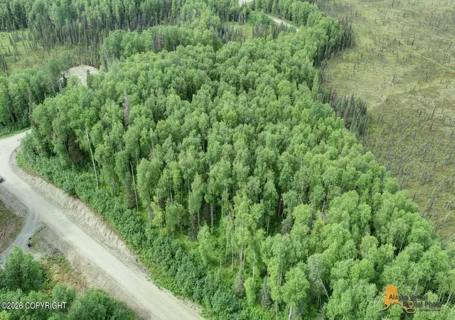 Photo 5 of Land for sale at L2 W Tuxedo Ave, Willow, AK 99688 | MLS# 26-10403 | Listing updated on 2026-08-30