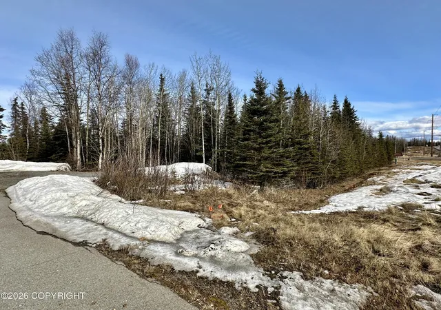 Photo 4 of Land for sale at 6352 Kenai Spur Hwy, Kenai, AK 99611 | MLS# 26-4095 | Listing updated on 2026-04-22
