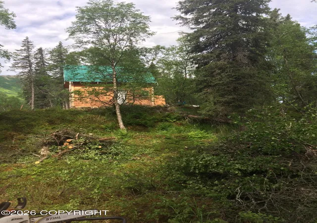 Homes for sale in Dillingham, AK | 2478 Snake River, Dillingham, AK 99576 | MLS# 26-4186