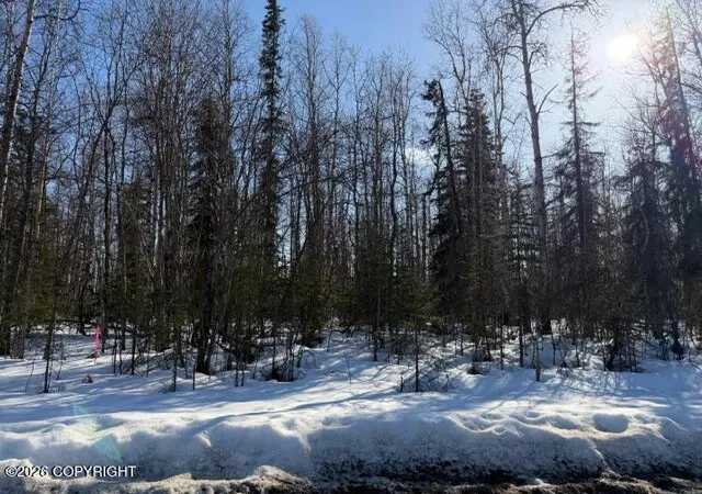 Photo 1 of Land for sale at 14584 N Sundown Dr, Willow, AK 99688 | MLS# 26-4107 | Listing updated on 2026-05-12