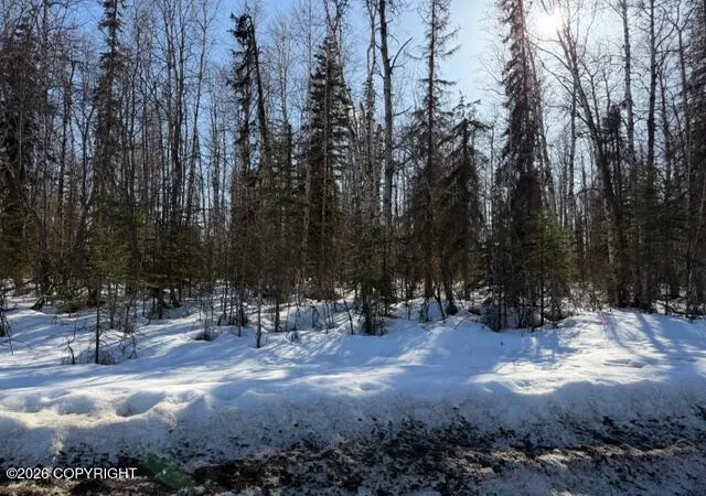 Photo 2 of Land for sale at 14584 N Sundown Dr, Willow, AK 99688 | MLS# 26-4107 | Listing updated on 2026-05-12