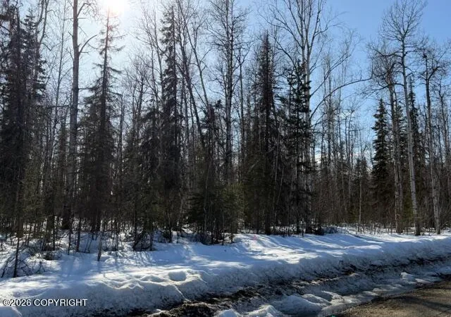 Photo 3 of Land for sale at 14584 N Sundown Dr, Willow, AK 99688 | MLS# 26-4107 | Listing updated on 2026-05-12