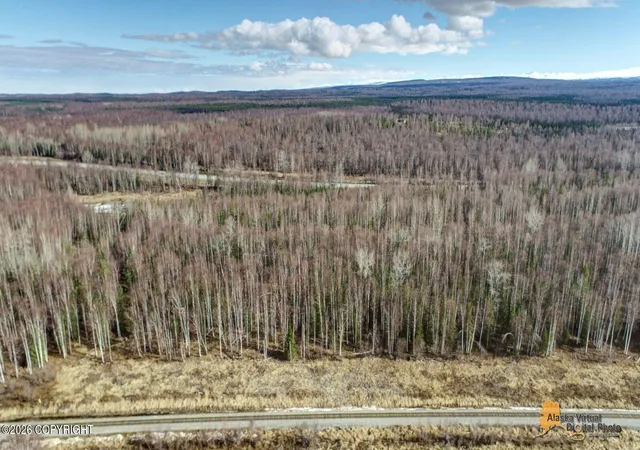 Homes for sale in Houston, AK | 21350 W Parks Hwy, Houston, AK 99694 | MLS# 26-4158