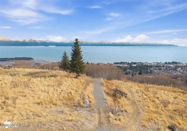 Photo 33 of Land for sale at 229 Tulin Blf W Ct, Homer, AK 99603 | MLS# 26-4220 | Listing updated on 2026-07-31