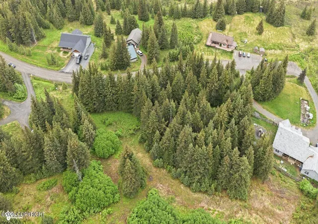 Photo 3 of Land for sale at 1185 Quinalt Ave, Homer, AK 99603 | MLS# 26-5944 | Listing updated on 2026-10-07
