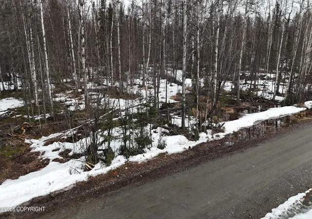 3rd image of 15863 E Willow Cir, Talkeetna, AK 99676 | MLS# 26-4274