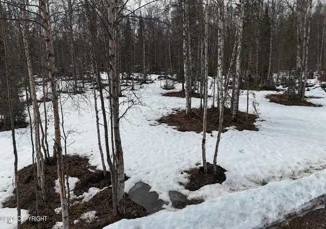 1st image of 15850 E Willow Cir, Talkeetna, AK 99676 | MLS# 26-4273