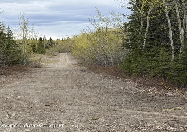 1st image of Mile 89 Richardson Hwy, Copper Center, AK 99573 | MLS# 26-6530