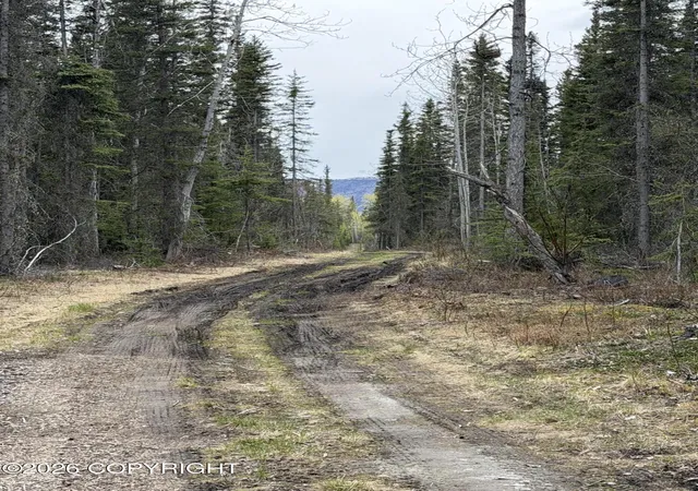 2nd image of Mile 89 Richardson Hwy, Copper Center, AK 99573 | MLS# 26-6530