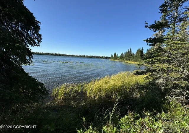 Homes for sale in Kasilof, AK | Tract 1 Fairway Ave, Kasilof, AK 99610 | MLS# 26-4400
