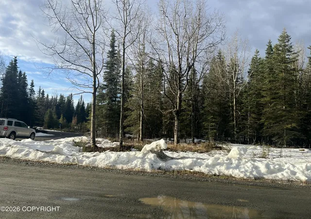 Homes for sale in Kasilof, AK | Tract 1 Fairway Ave, Kasilof, AK 99610 | MLS# 26-4400