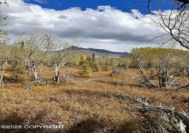 3rd image of B5 Packsaddle Rd, Sutton, AK 99674 | MLS# 26-4380