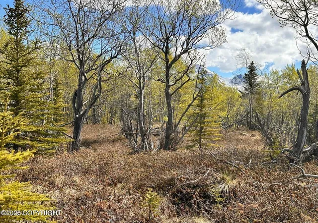 4th image of B5 Packsaddle Rd, Sutton, AK 99674 | MLS# 26-4380