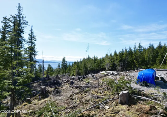 Photo 3 of Land for sale at 11b Bayview Dr, Naukati Bay, AK 99950 | MLS# 26-4328 | Listing updated on 2026-07-07