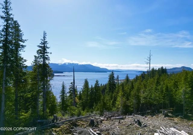 Photo 4 of Land for sale at 11b Bayview Dr, Naukati Bay, AK 99950 | MLS# 26-4328 | Listing updated on 2026-07-07