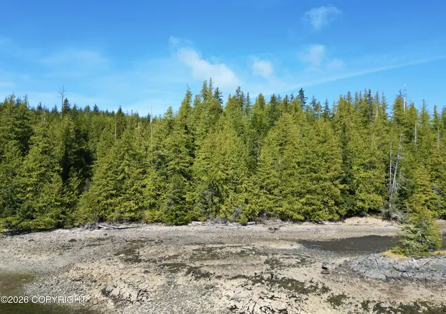 Photo 5 of Land for sale at 11b Bayview Dr, Naukati Bay, AK 99950 | MLS# 26-4328 | Listing updated on 2026-07-07