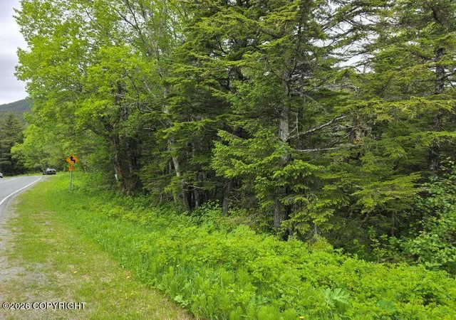 Homes for sale in Haines, AK | L5, Sec 19 Mud Bay Rd, Haines, AK 99827 | MLS# 26-4362
