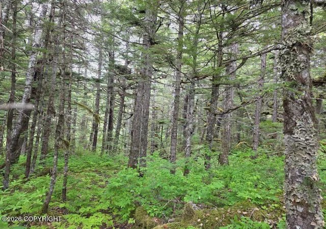 Homes for sale in Haines, AK | L5, Sec 19 Mud Bay Rd, Haines, AK 99827 | MLS# 26-4362