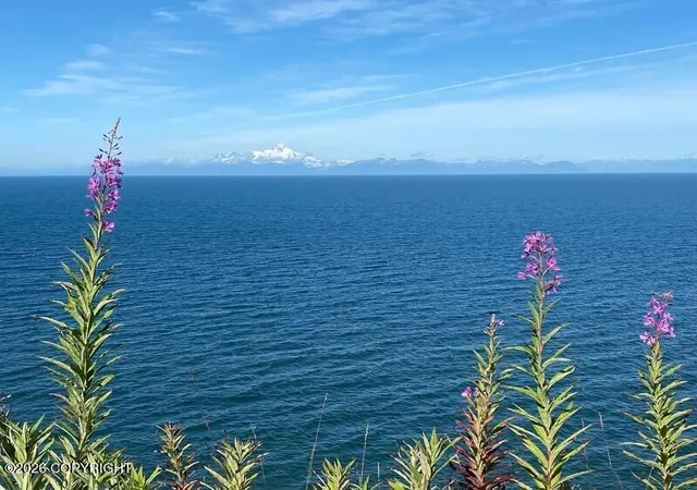 Photo 4 of Land for sale at 20935 Sterling Hwy, Ninilchik, AK 99639 | MLS# 26-4416 | Listing updated on 2026-07-27