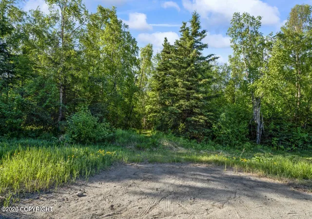 Homes for sale in Anchorage, AK | 5910 Rabbit Creek Rd, Anchorage, AK 99516 | MLS# 26-4699