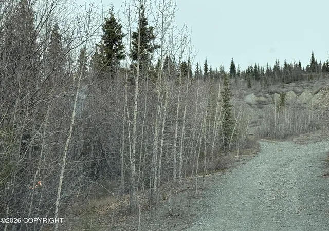Photo 3 of Land for sale at Mi 165 Glenn Hwy, Glennallen, AK 99588 | MLS# 26-4591 | Listing updated on 2026-09-15