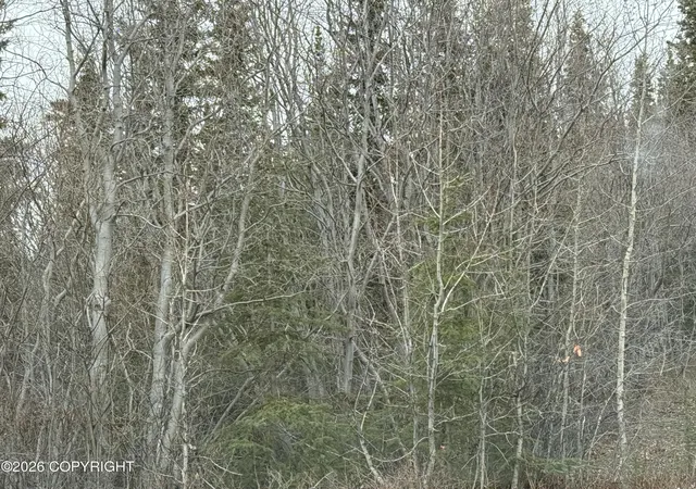 Photo 3 of Land for sale at Mi 165 Glenn Hwy, Glennallen, AK 99588 | MLS# 26-4591 | Listing updated on 2026-09-15