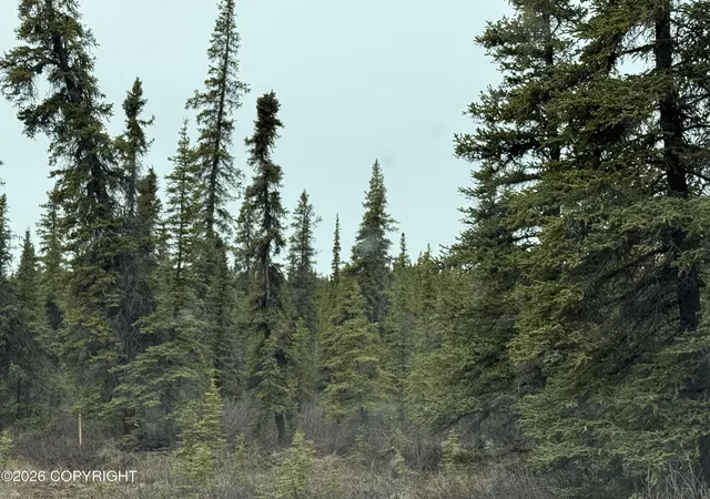 Photo 4 of Land for sale at Mi 165 Glenn Hwy, Glennallen, AK 99588 | MLS# 26-4591 | Listing updated on 2026-09-15