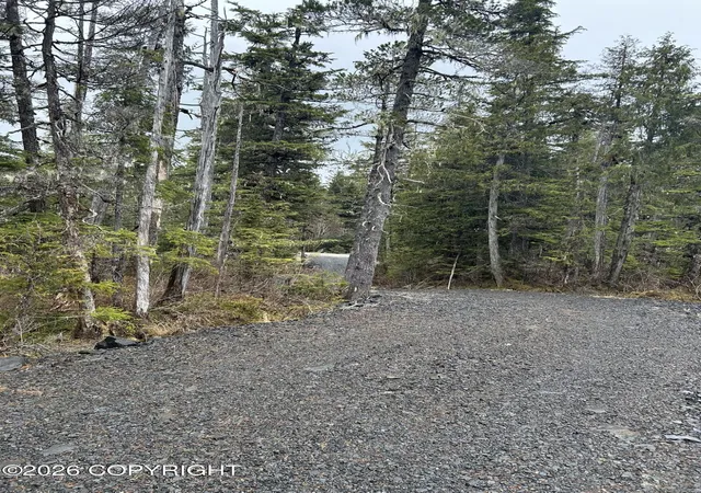 4th image of 125 & 226 Frederick Dr, Petersburg, AK 99833 | MLS# 26-4607