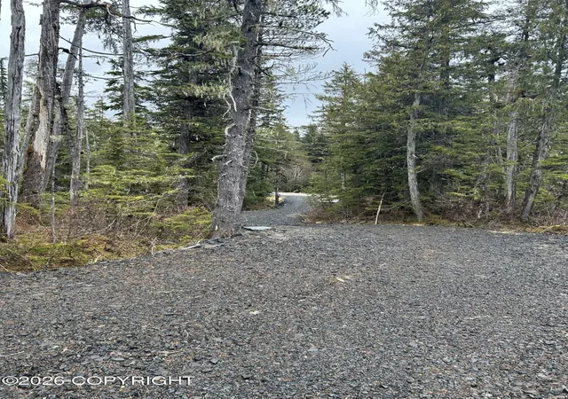 5th image of 125 & 226 Frederick Dr, Petersburg, AK 99833 | MLS# 26-4607