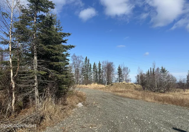 13th image of 40745 Frogberry St, Kenai, AK 99611 | MLS# 26-4784